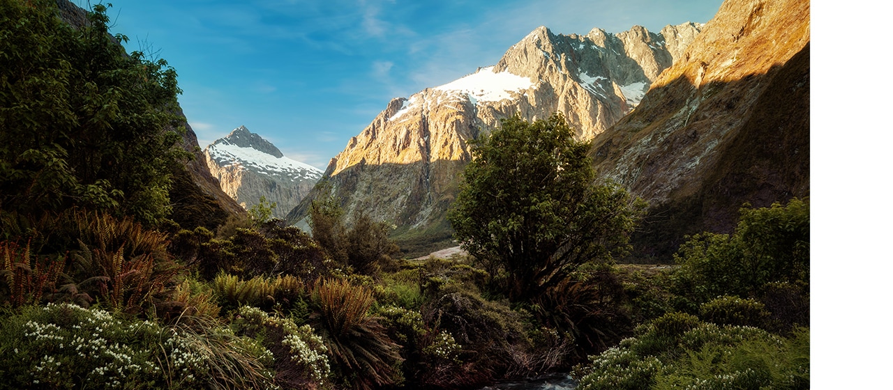 A Convertible Car Road Trip to New Zealand’s Milford Sound