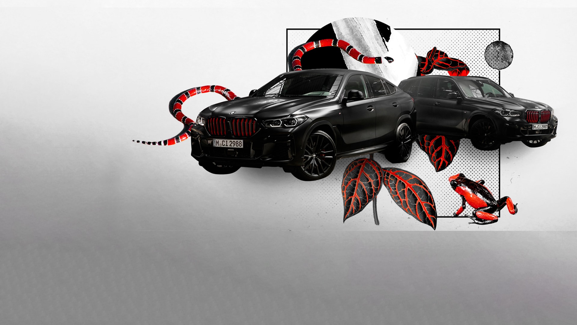 BMW X5 and BMW X6 in black and red: inspired by nature